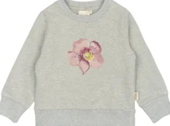 ppDov Sweat shirt