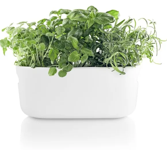 Selvvandende Herb organiser white