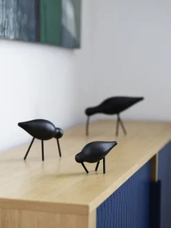 Shorebird liten svart