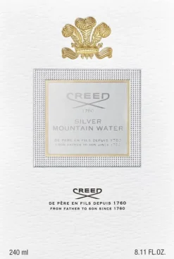 SILVER MOUNTAIN WATER 240 ML