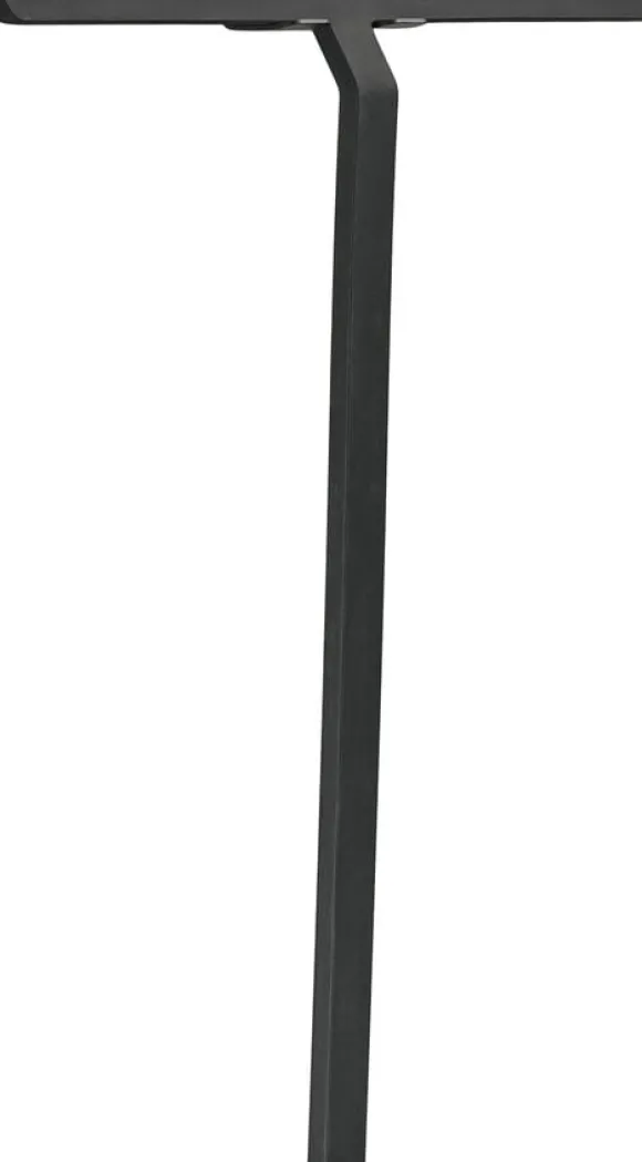 Skrapa m hållare Rim 30cm Black
