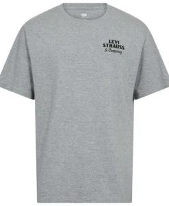 SS RELAXED FIT TEE ARCHIVAL OV