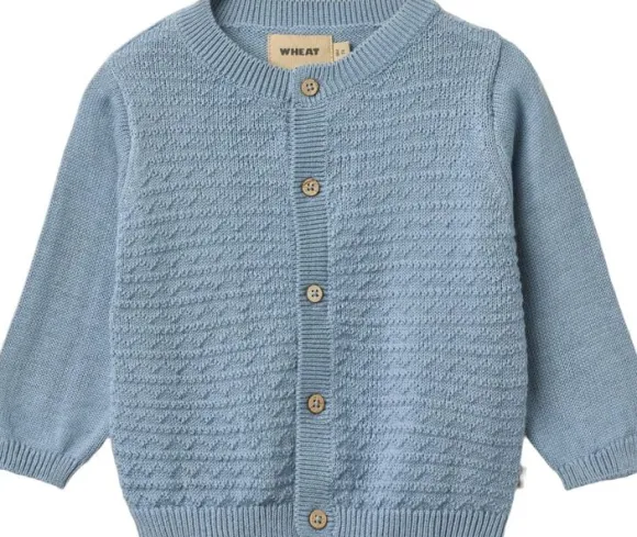 Strik Cardigan Bjørn