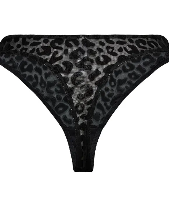 STRINGS - Frissa 3