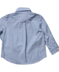 Striped Cotton Oxford Shirt
