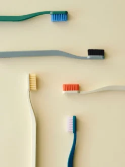 Tann Toothbrush-Ocean blue and lavender