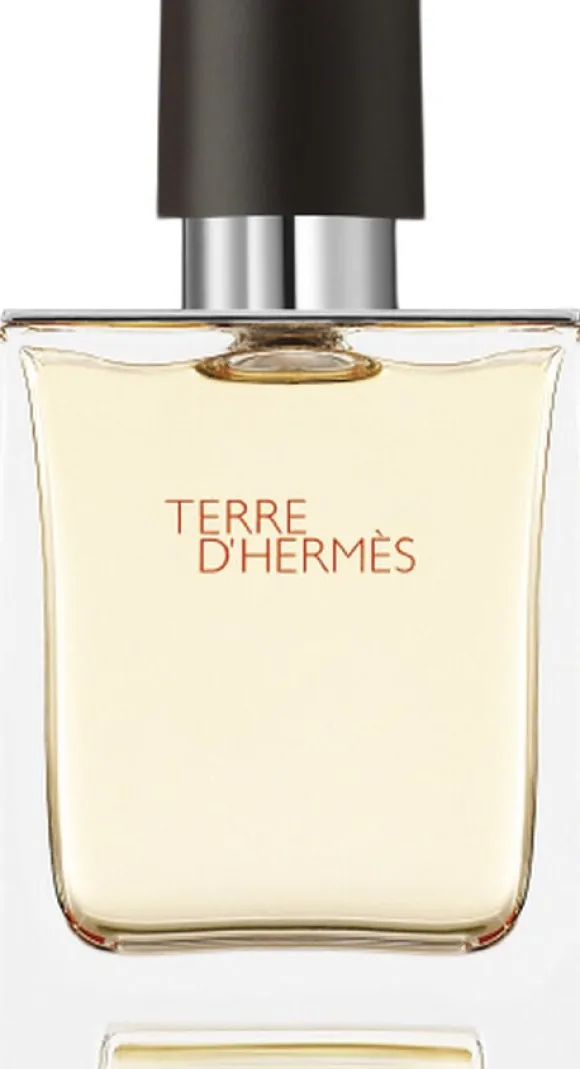 TERRE D'HERMÉS EAU DE TOILETTE