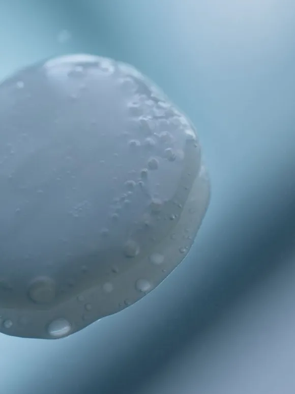 The Eye Makeup Remover