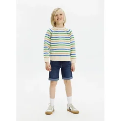 THE NEW Denim Shorts
