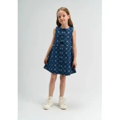 TNStine S_L Denim Dress